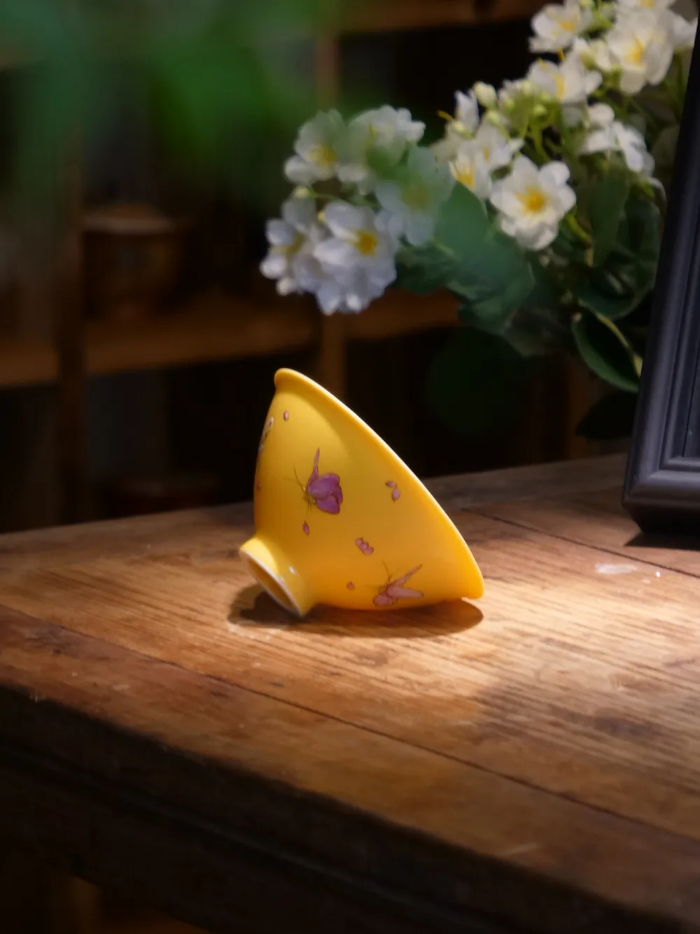 鸡油黄蝴蝶斗笠杯