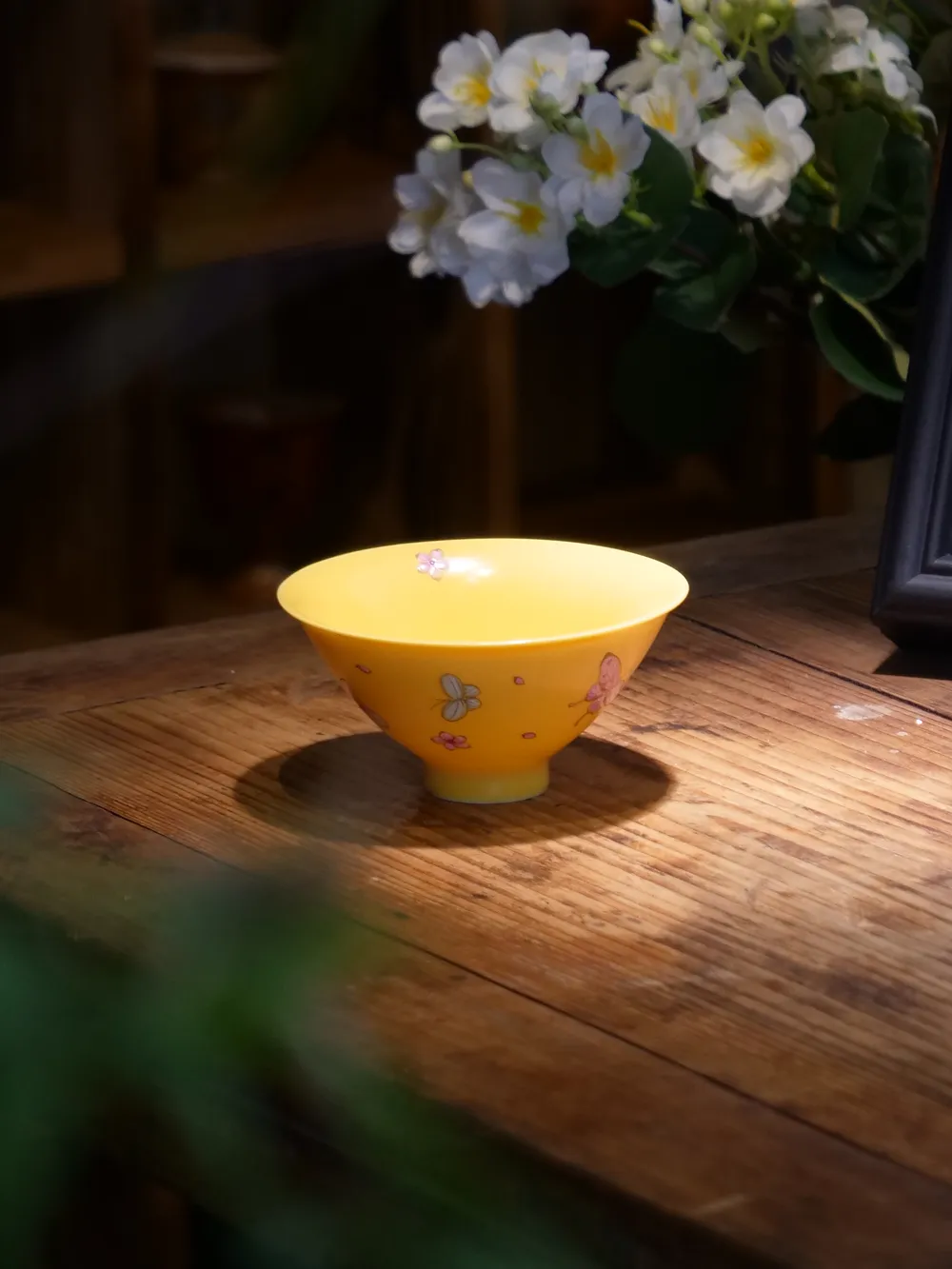 鸡油黄蝴蝶斗笠杯
