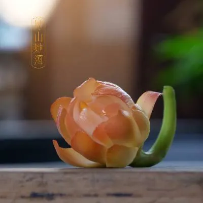 手捏花郁金香香插